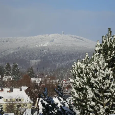 Ferienwohnung-am-wurmberg-3 아파트 브라운라제