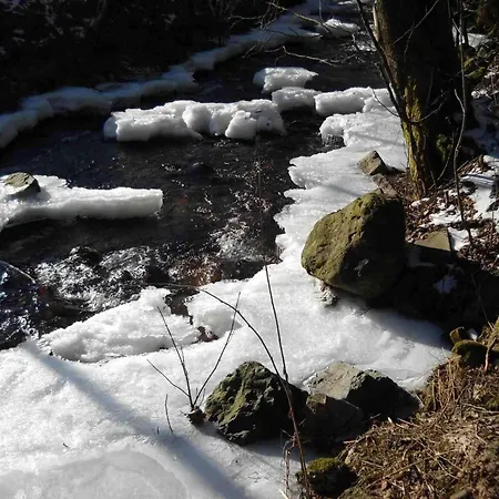 Ferienwohnung-am-wurmberg-3 브라운라제