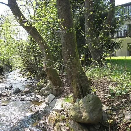 Ferienwohnung-am-wurmberg-3 아파트 브라운라제