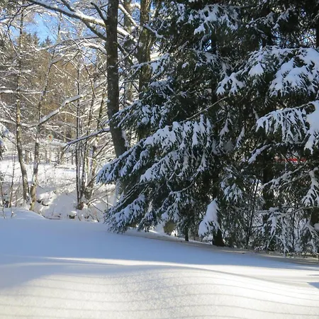 아파트 Ferienwohnung-am-wurmberg-3 브라운라제