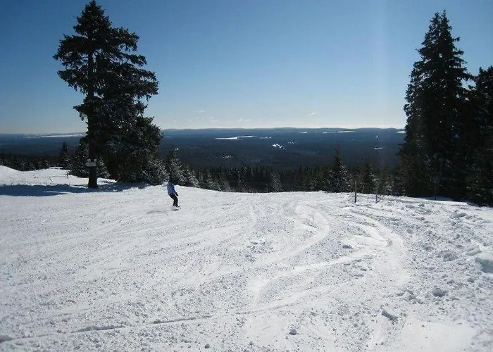 公寓 Ferienwohnung-am-wurmberg-3 *