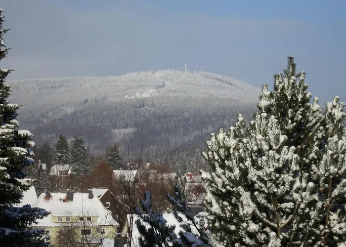 Ferienwohnung-am-wurmberg-3 公寓 布劳恩拉格