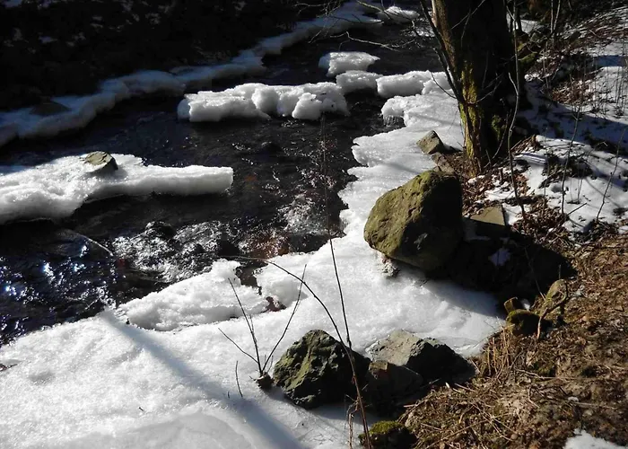 Ferienwohnung-am-wurmberg-3 布劳恩拉格