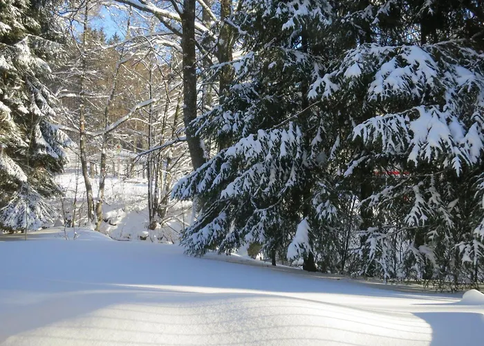 公寓 Ferienwohnung-am-wurmberg-3 布劳恩拉格